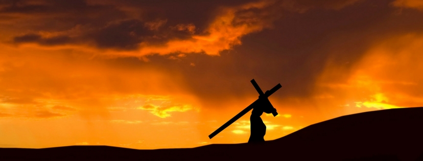 walls come down fb banner no writing